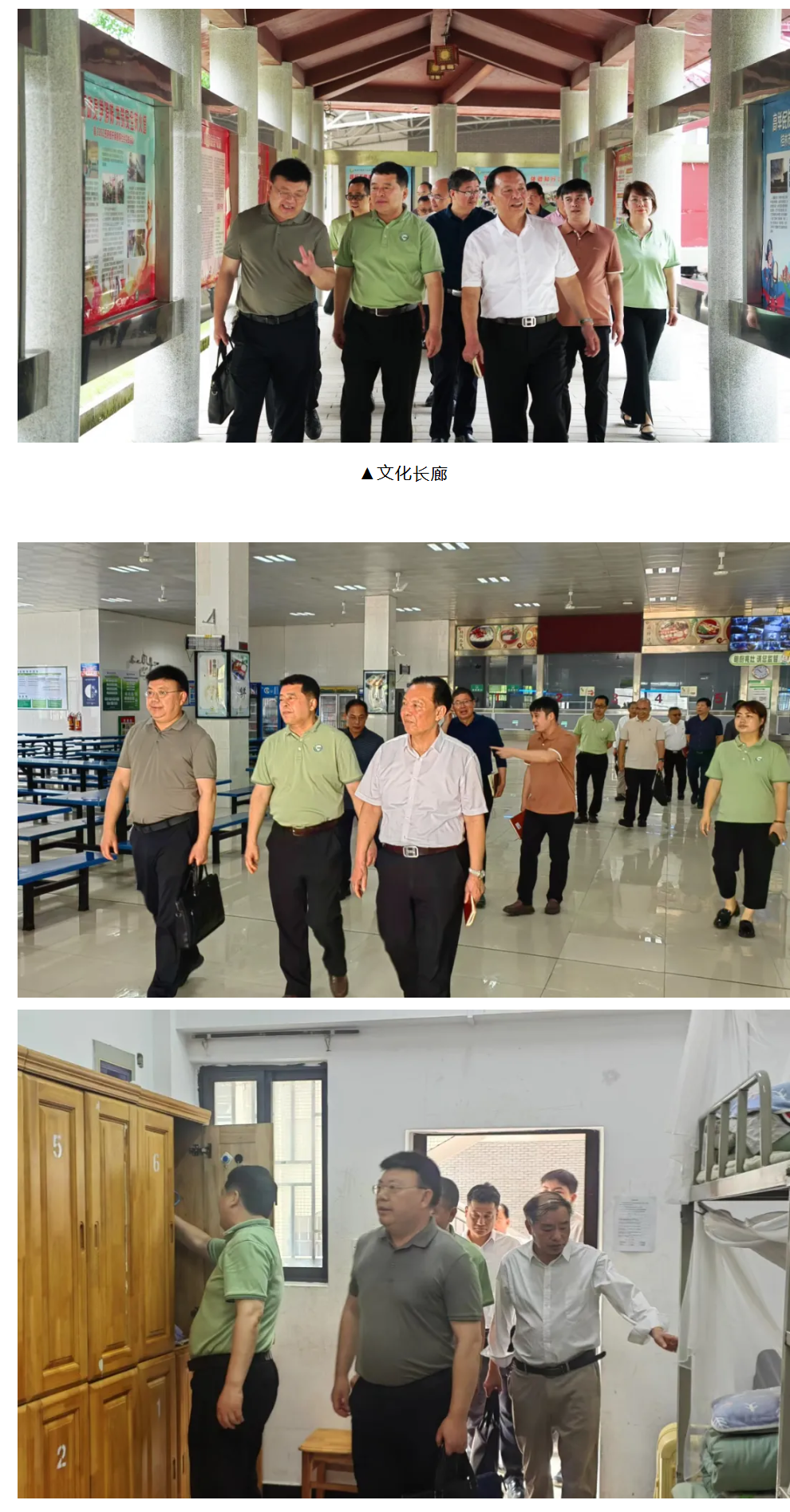 2047eda1af344c6392f0b249039e6dea.png